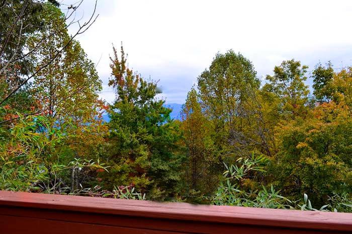 Lover's Loft Gatlinburg Eksteriør billede